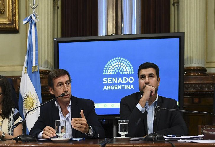 Tres proyectos de ley buscarán reemplazar al mega DNU de Macri