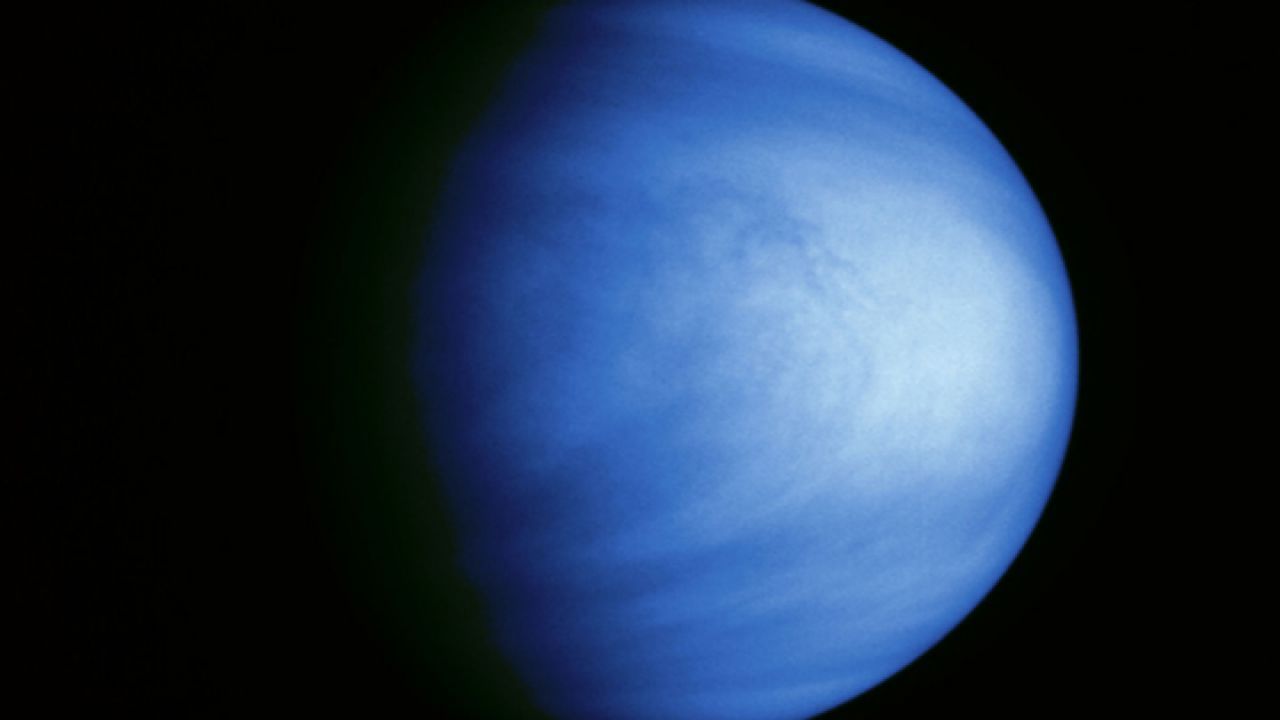 Diario de la peste | ¿Hay vida en Venus?