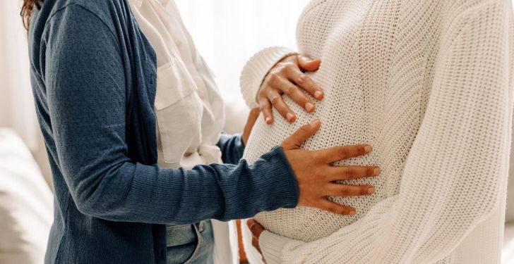 Maternidad subrogada e imperativo categórico