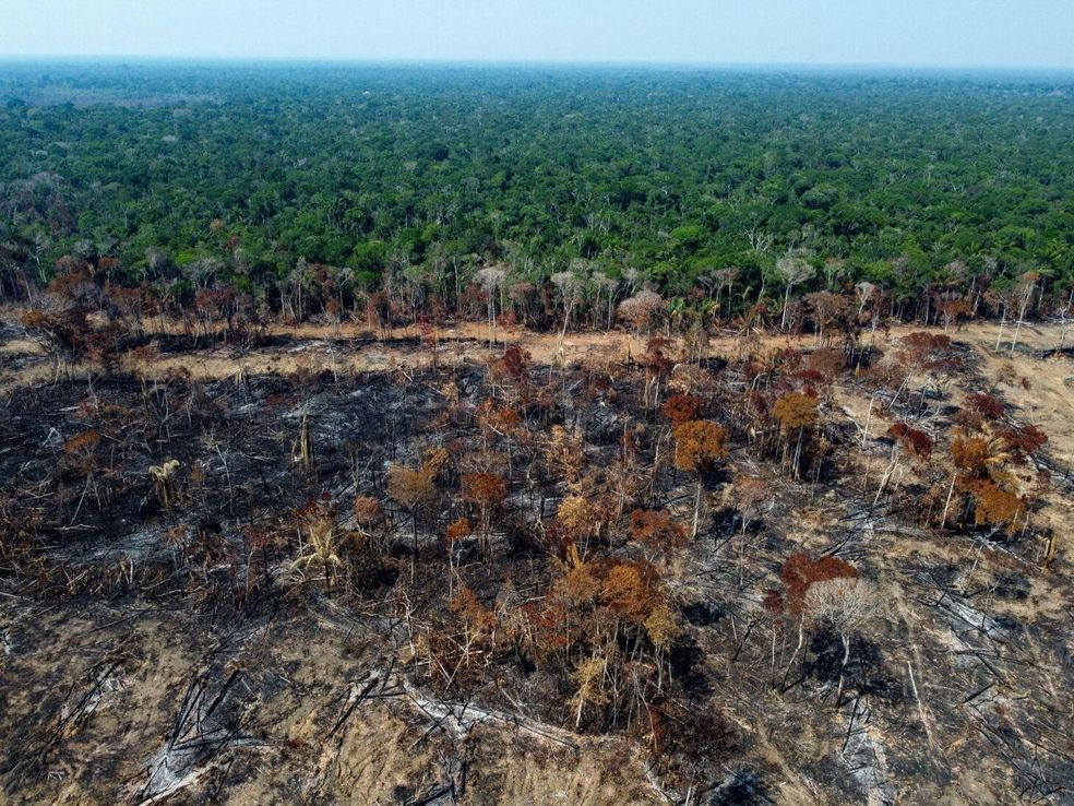 Resolver derechos de propiedad salvaría el Amazonas