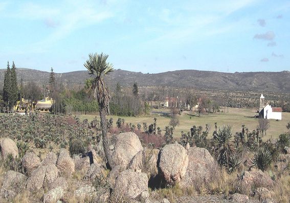 LA HUELLA DEL CAMINO REAL