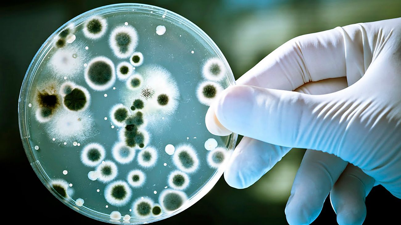 Cuatro niños y un adulto murieron por una bacteria