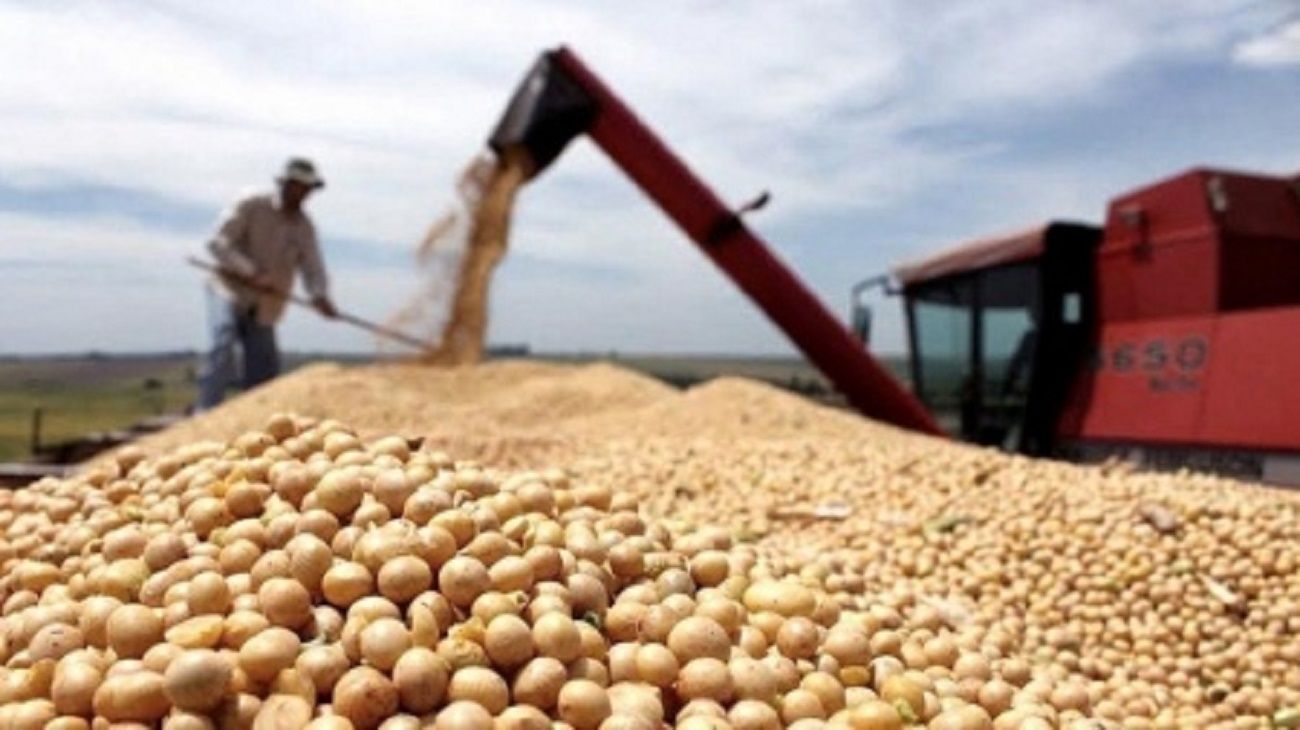 Dólar agro: suman nuevos productos para impulsar el programa