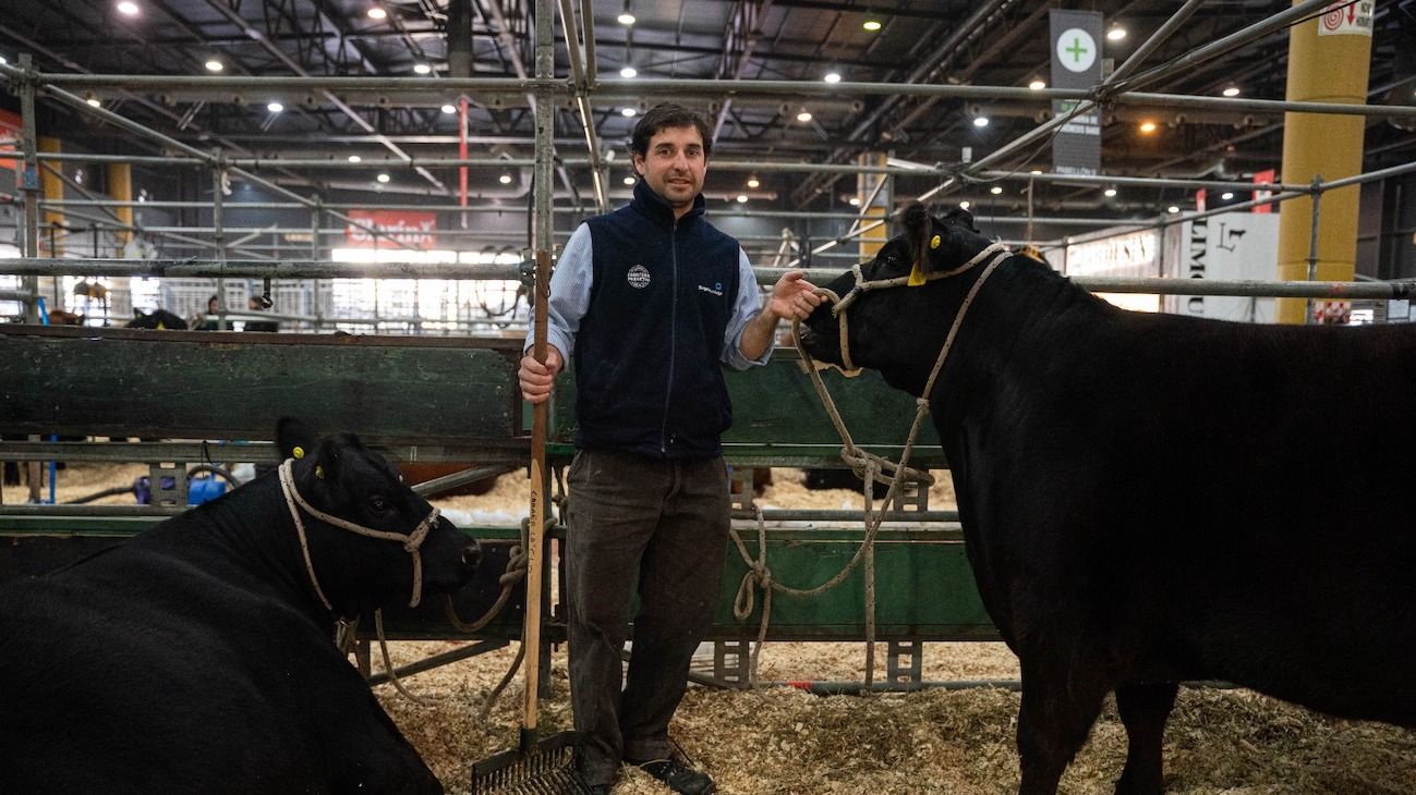 La cabaña de Roberto Lavagna expone sus primeros animales en la Rural