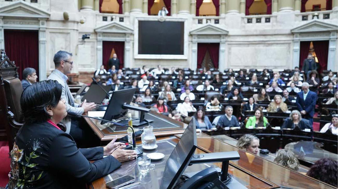 Diputados: la oposición pidió una sesión que busca acelerar la ofensiva de los gobernadores