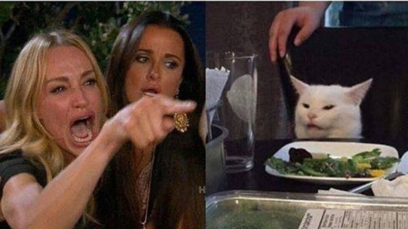 La foto viral de "el gato en la mesa" que desató una ola de memes