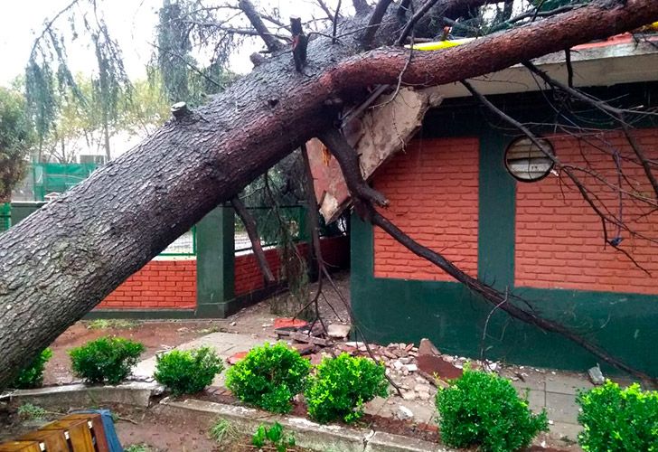 El temporal provocó destrozos y caídas de árboles en el Club Arquitectura de Agronomía