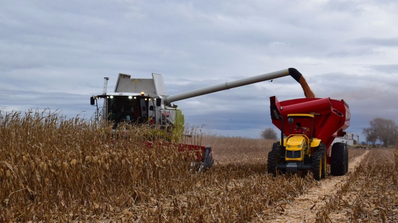 Un organismo internacional criticó por "distorsivas" las políticas de Argentina para el agro