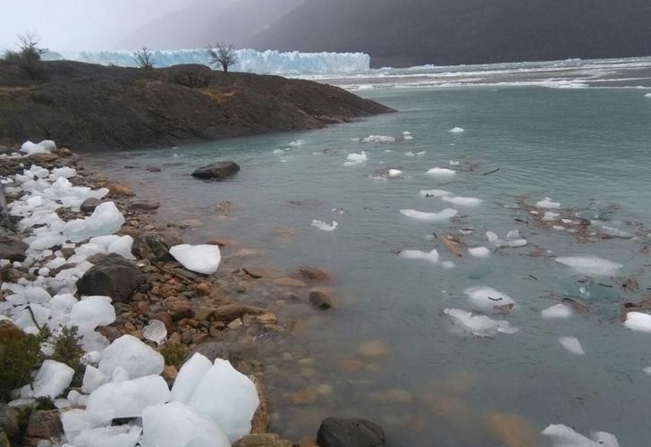 Fotos | Un “mini tsunami” afectó El Calafate tras la ruptura del Perito Moreno