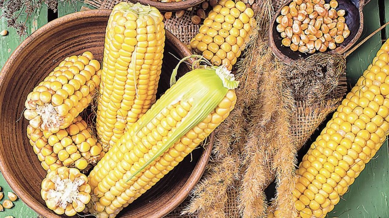 La ANMAT prohibió la venta de una marca de lata de chocho proveniente de Brasil