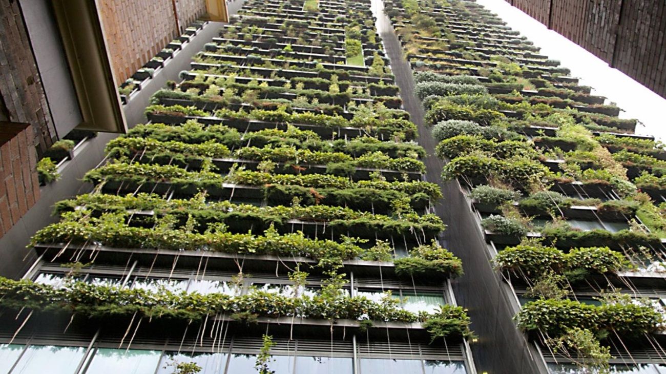 Edificios ecológicos: cómo funcionan y por qué tienen menos impacto ambiental