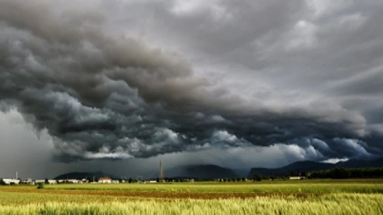 Precipitaciones abundantes en el agro: “El daño ya es un desastre total”