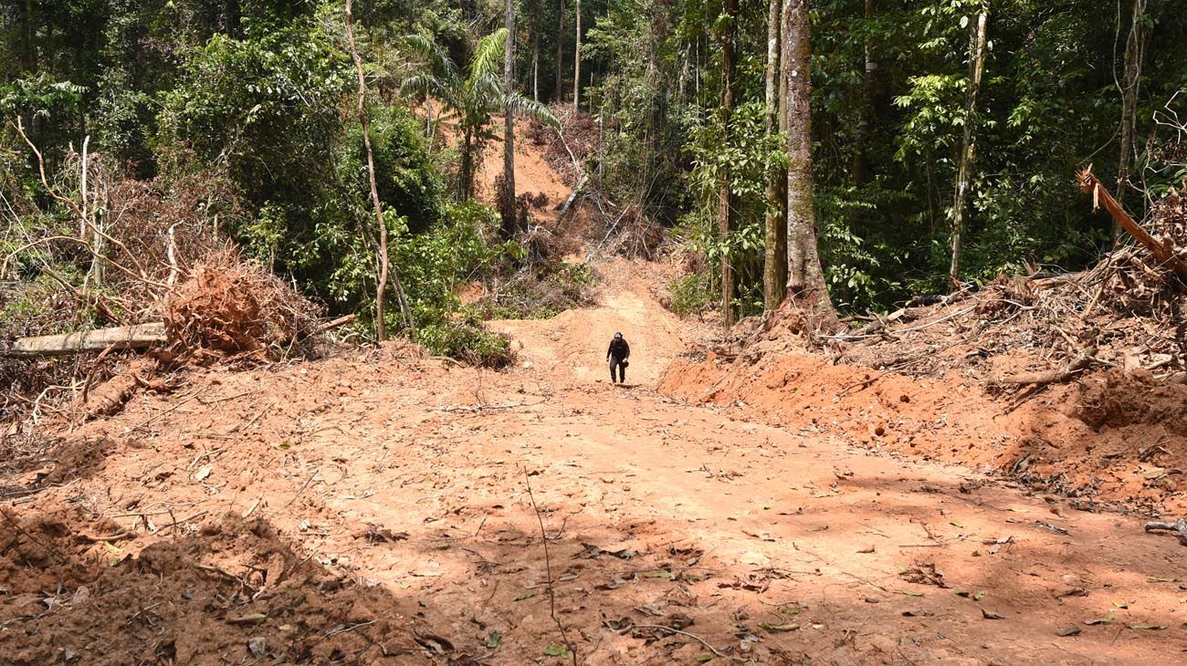La sequía de los ríos del Amazonas llega al límite