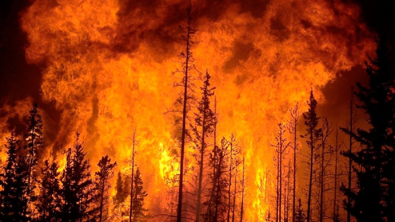Los incendios en Chile provocan al menos 12 muertos, evacuados y zonas devastadas