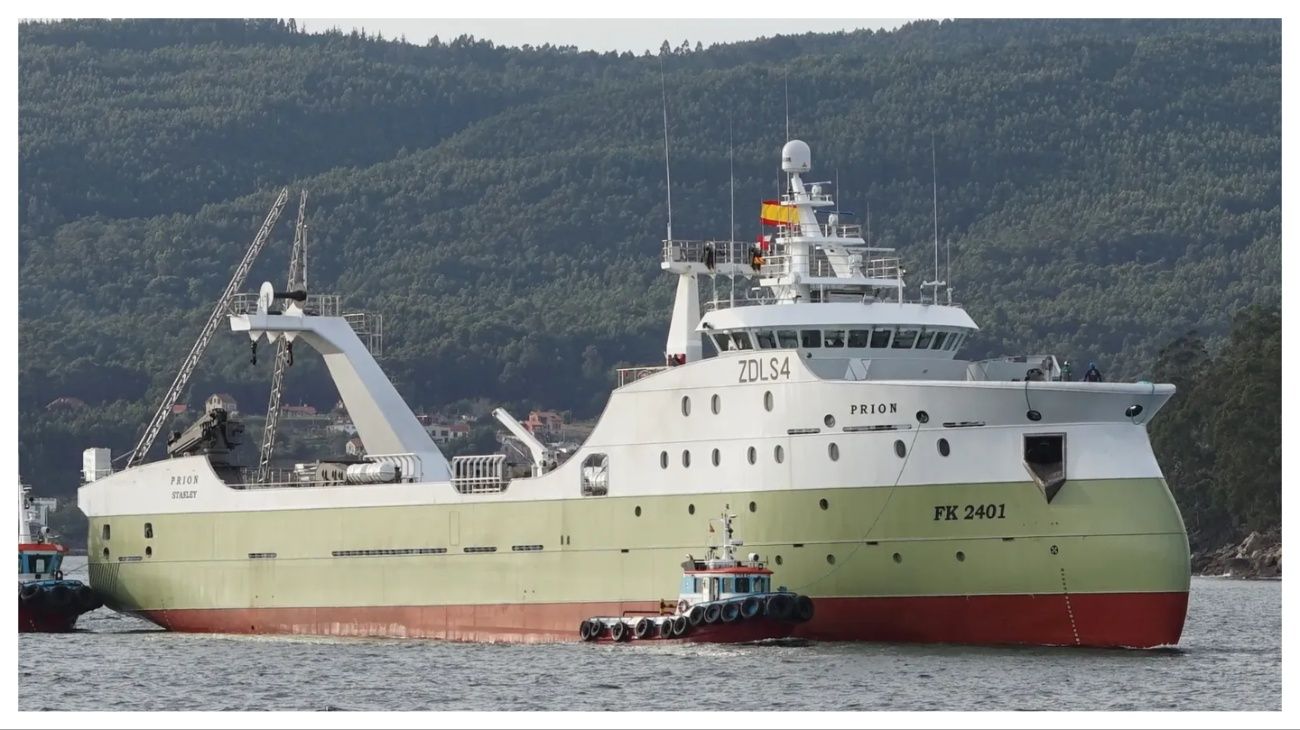 Buques extranjeros avanzan hacia Malvinas para la pesca de Calamar Loligo a pesar de su escasez
