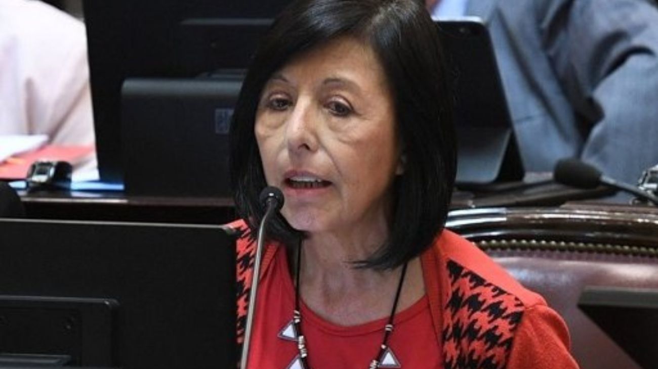 Nora del Valle Giménez: "Más que un plan de gobierno, el de Milei es un plan de negocios"