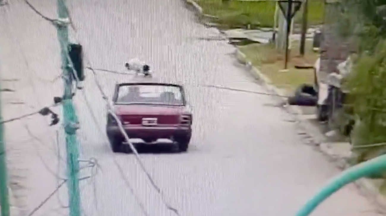 Llevaba a su perro encima del techo del auto, lo criticaron y se justificó: "Es un placer para él"