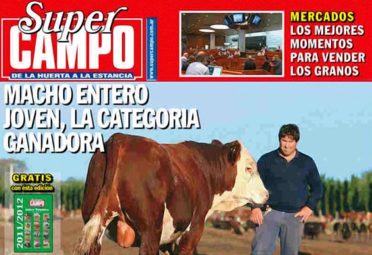 Las ventajas de producir Machos Enteros Jóvenes