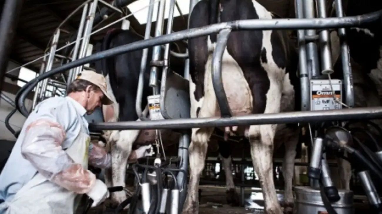 Quiebra de SanCor: seis empresas compiten por quedarse con los activos de la histórica cooperativa láctea