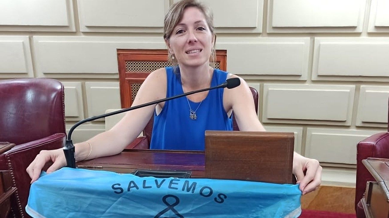 Una diputada de Santa Fe participó de una sesión mientras manejaba su auto