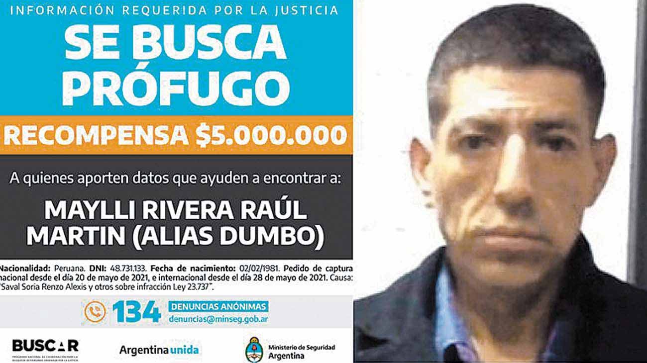 Secuestran cocaína rosa y más drogas en paquetes con el sello de “Dumbo”