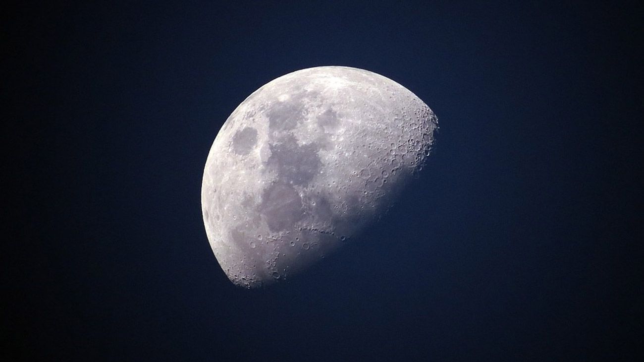 SpaceX vende un boleto a la luna: cómo se ve el viaje espacial