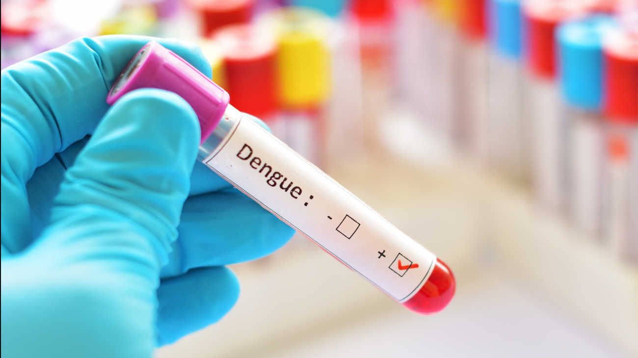 Dengue: en la Ciudad de Buenos Aires declararon la situación de "alto riesgo"