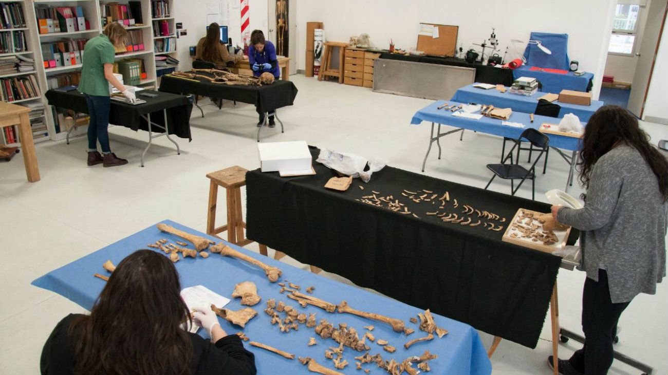 Equipo Argentino de Antropología Forense: 600 cuerpos esperan conocer su identidad
