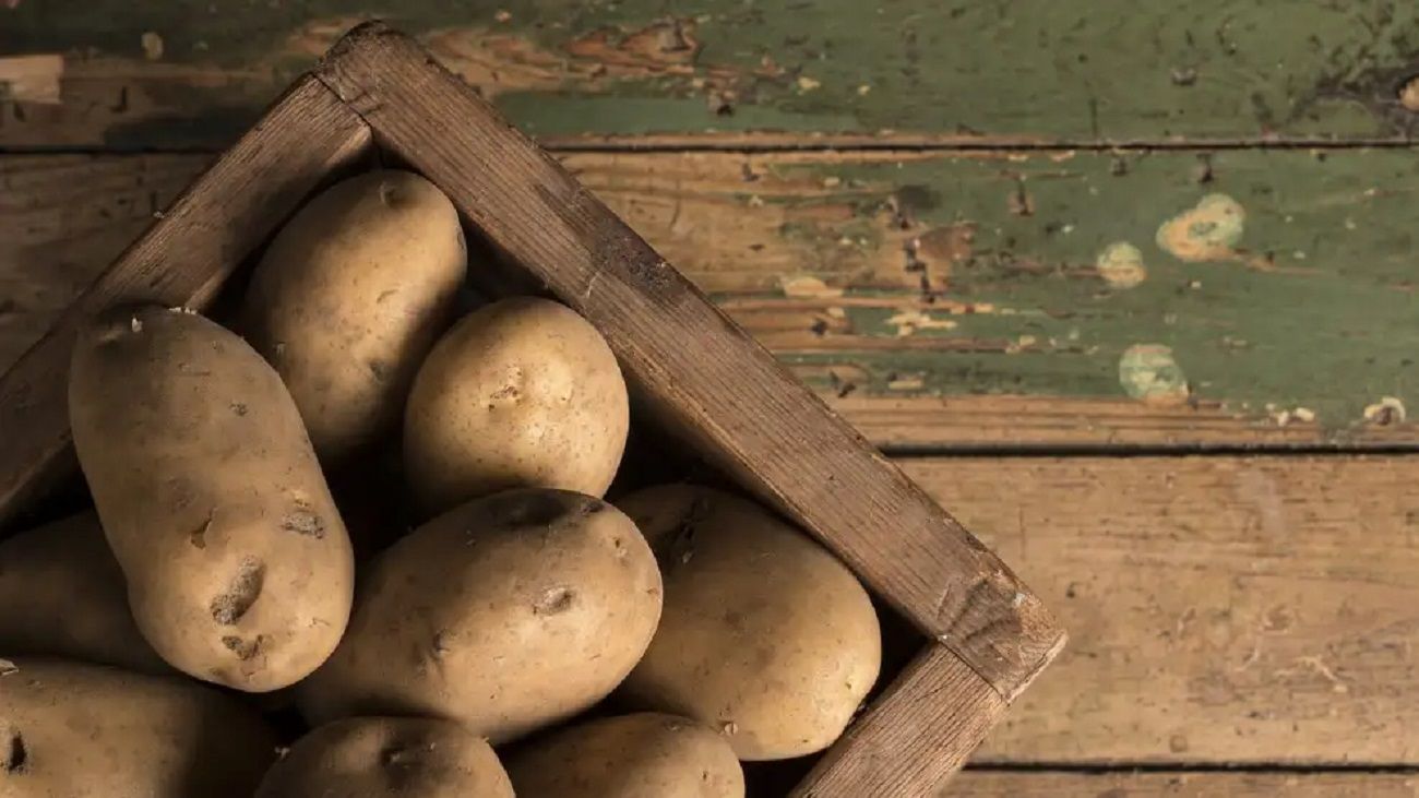 Pérdidas en la producción de papa: “Va a producir un gran quebranto en la actividad y el sector”