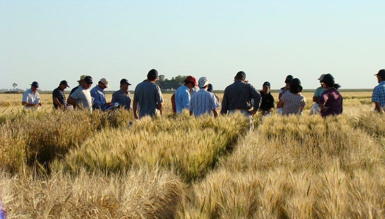 Tres de cada cuatro productores consideran que no es momento para invertir