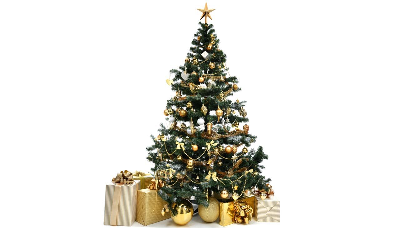 La historia detrás del árbol de Navidad: ¿cómo nació su tradición?