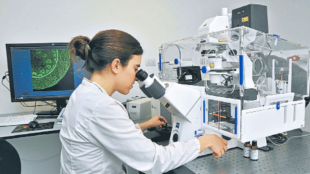 Mujeres y niñas frente a la ciencia y la tecnología