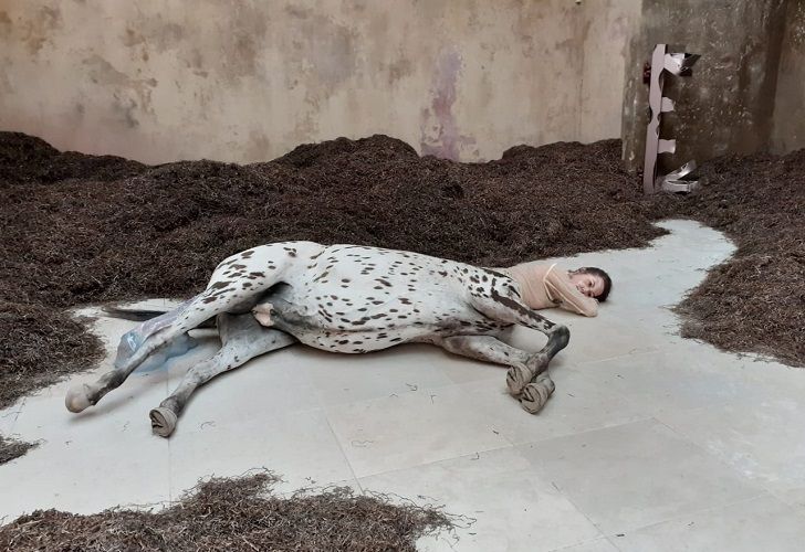 La Bienal que yo vi