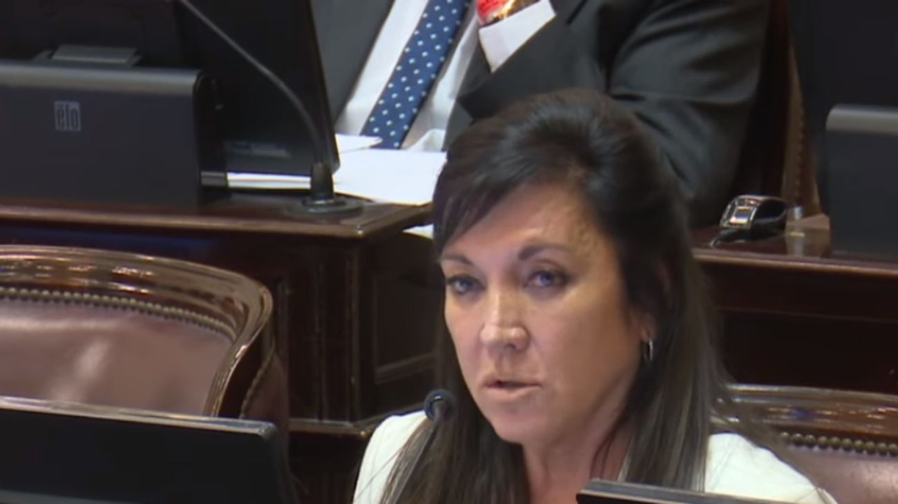 Rodríguez Machado: “En el Congreso habrá tres fracciones a la hora de votar”