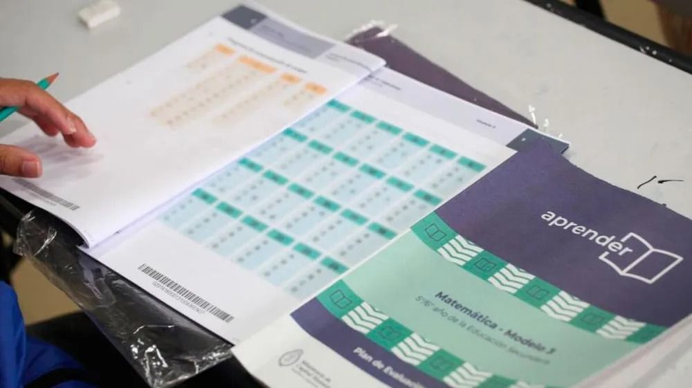 Pruebas Aprender: solo el 14,2% logró nivel satisfactorio en Matemática