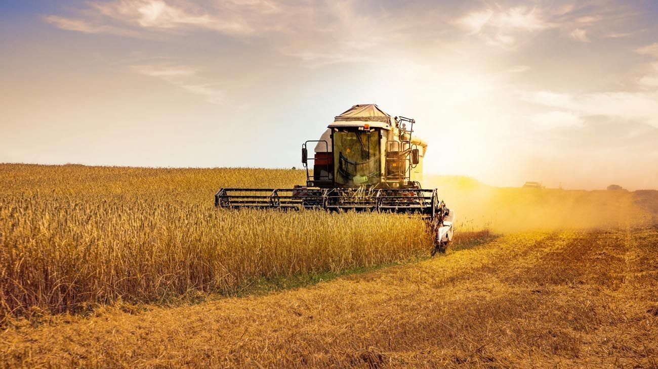 Agro: cuáles son las expectativas del campo ante la cosecha