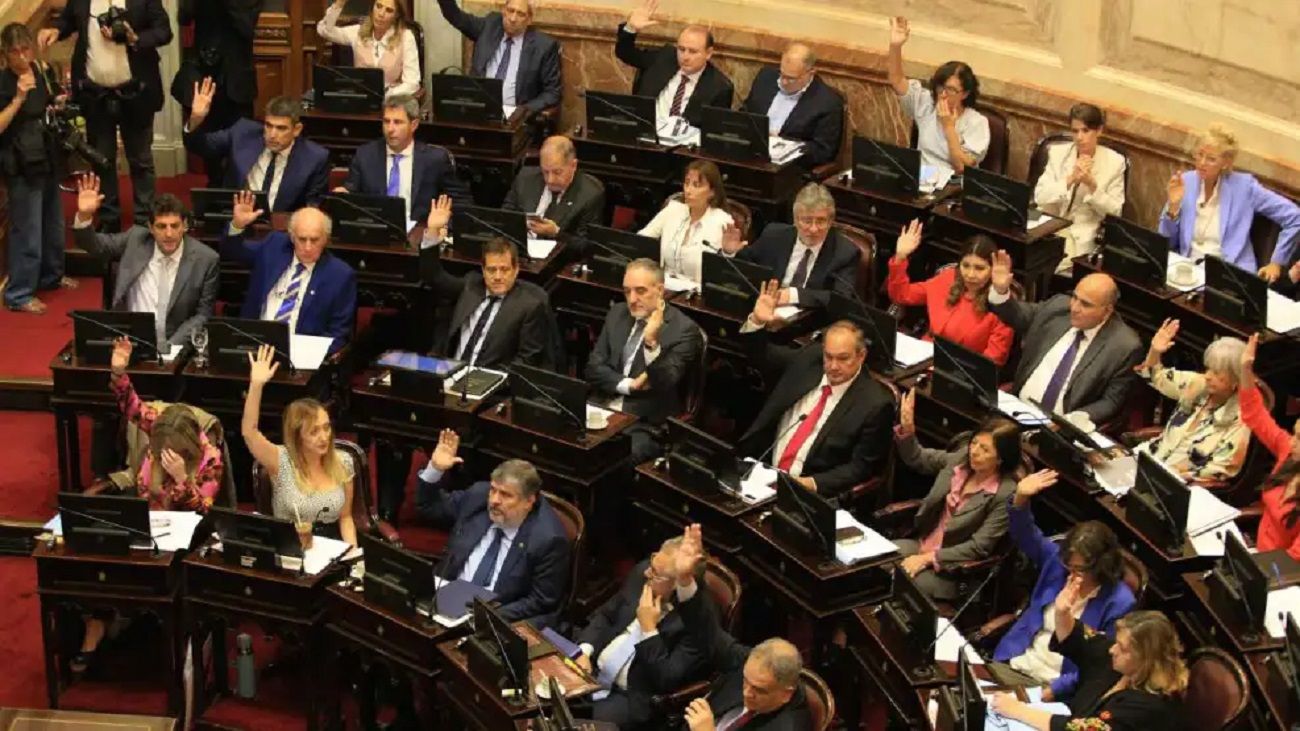 DNU: para un economista, “lo que se está proponiendo es un ajuste descomunal”