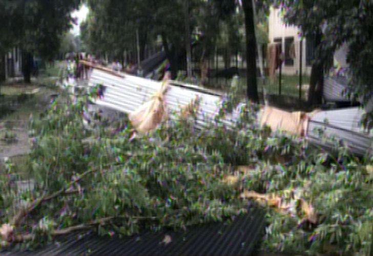Murieron una mujer y sus dos hijas al caer un árbol sobre su casa