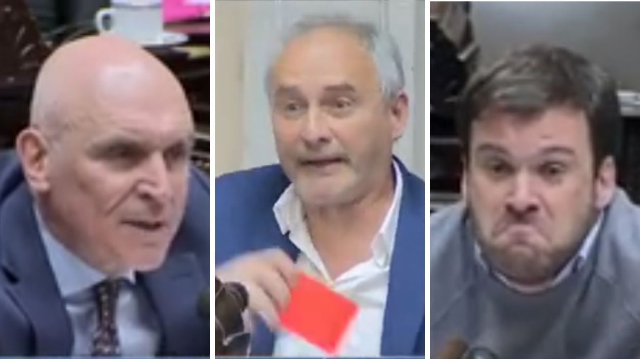 "Dunga-dunga", una tarjeta roja y el chupetín de madera: perlas que dejó el debate para reformar Ganancias
