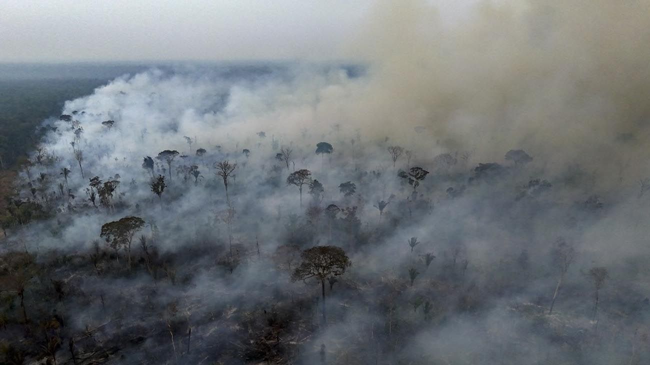 El peligro de ser consciente de lo que ocurre con los incendios amazónicos y no hacer nada