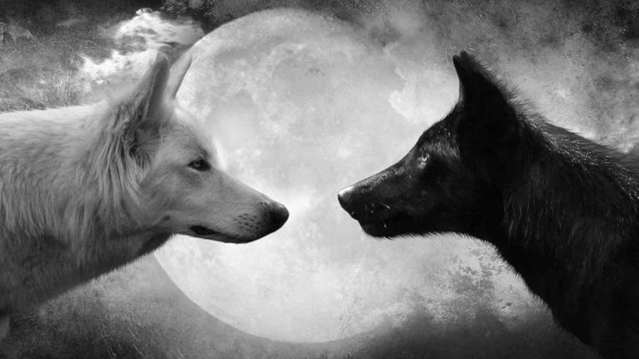 ¿Cuál lobo estás alimentando?