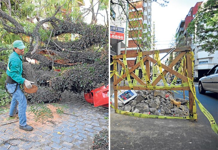 Arboles, baches y veredas, los nuevos 'poderes' de las comunas