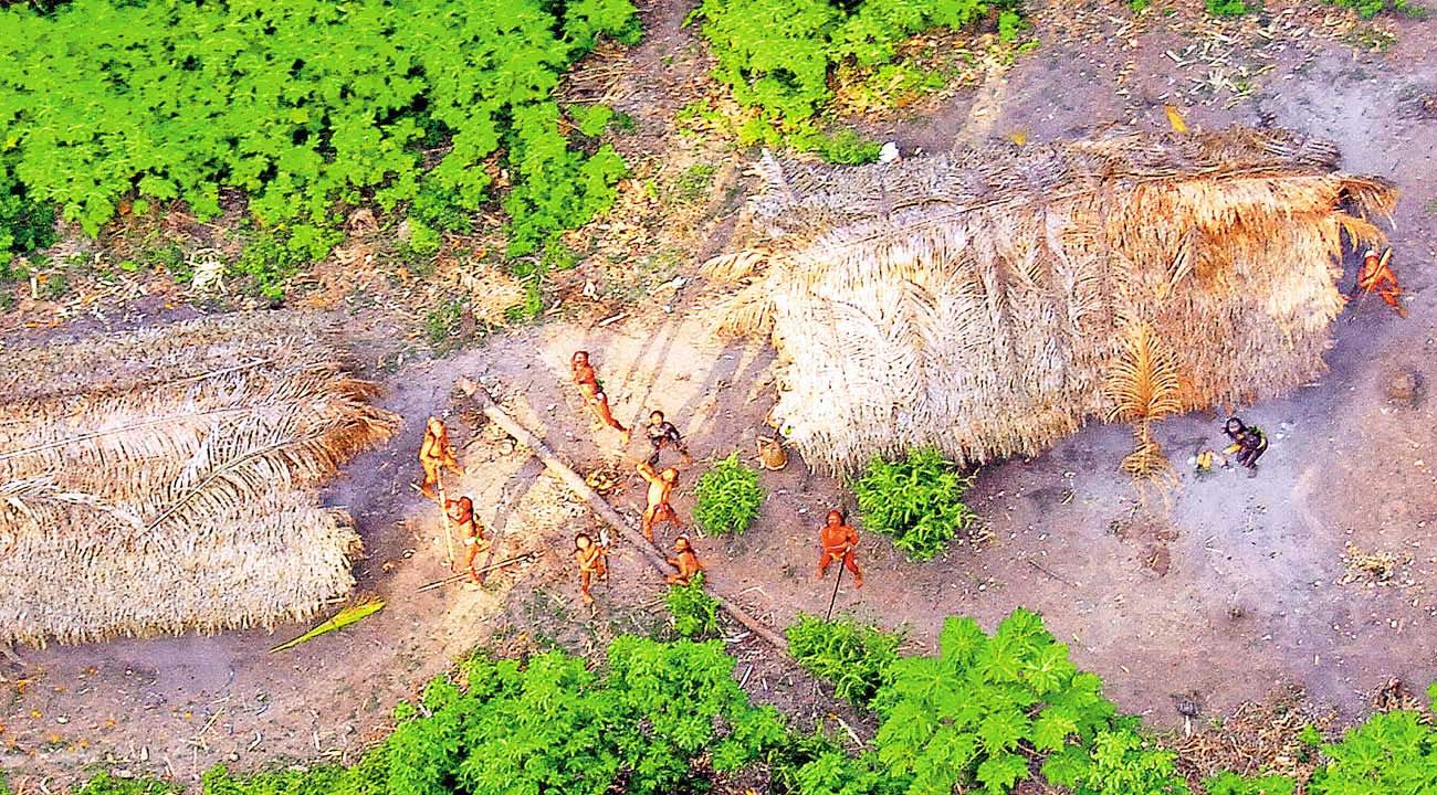 Las tierras indígenas son la clave para mitigar el cambio climático