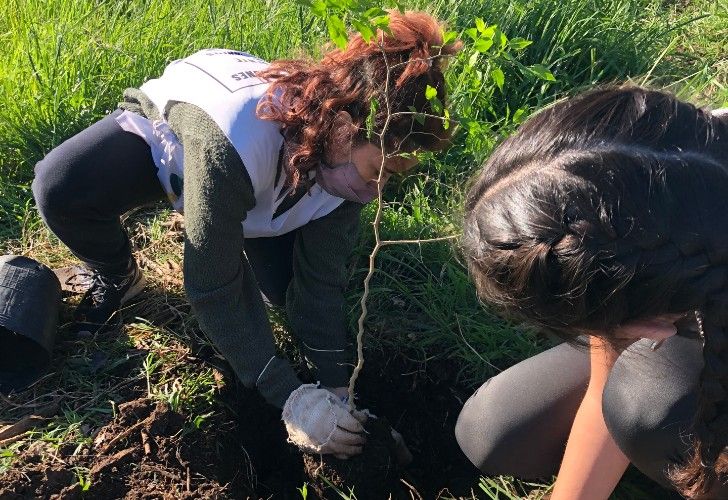 Reforestar con especies nativas, la clave para mitigar el cambio climático