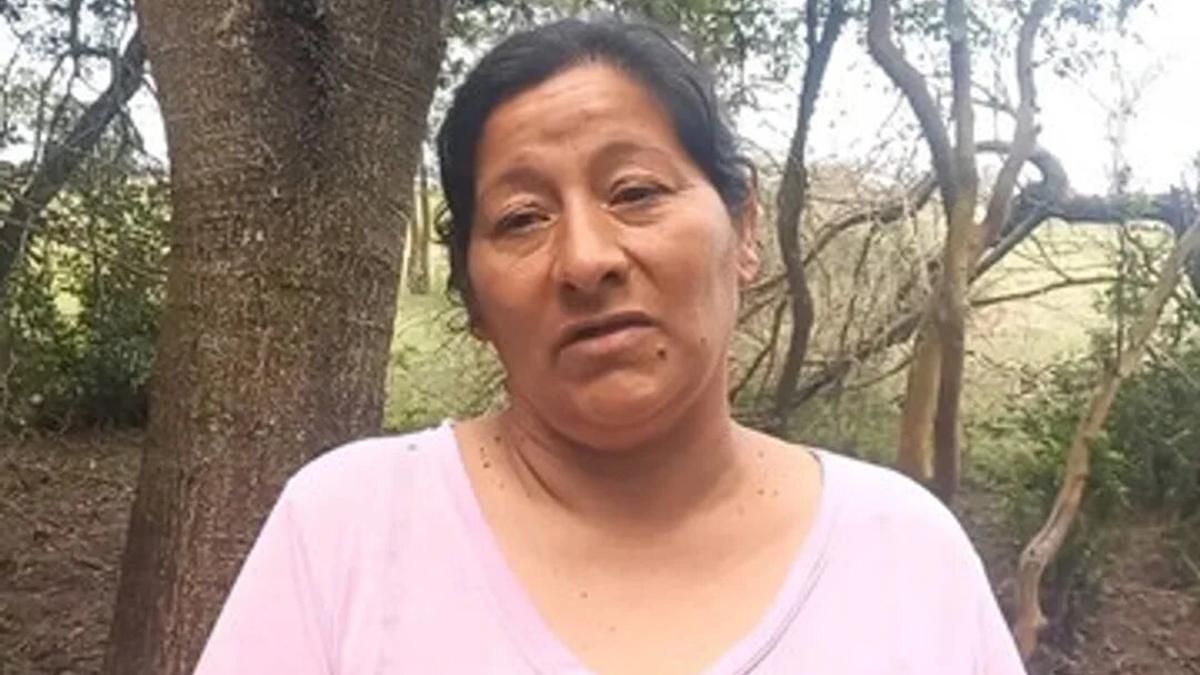 Desaparición de Loan Peña: expectativas por la declaración de Laudelina y la autopsia del abogado