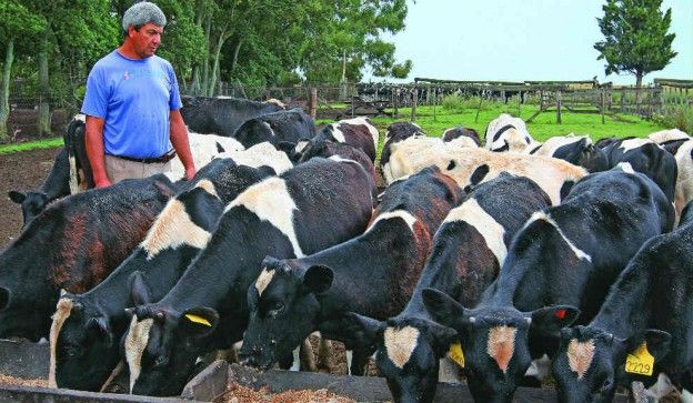 El seguro de desempleo para trabajadores rurales aumentará 48%