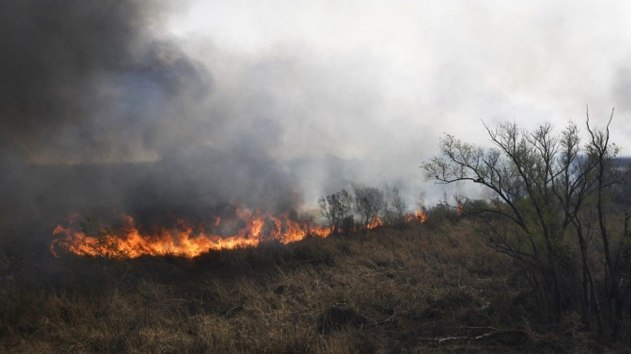 Delta del Paraná en llamas: en la primera mitad del año hubo 4.200 focos de incendio