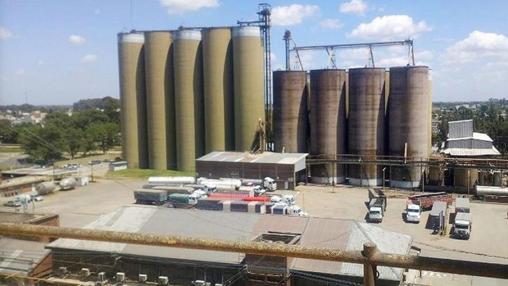 Autorizan a Molino Cañuelas a realizar pagos a acreedores financieros
