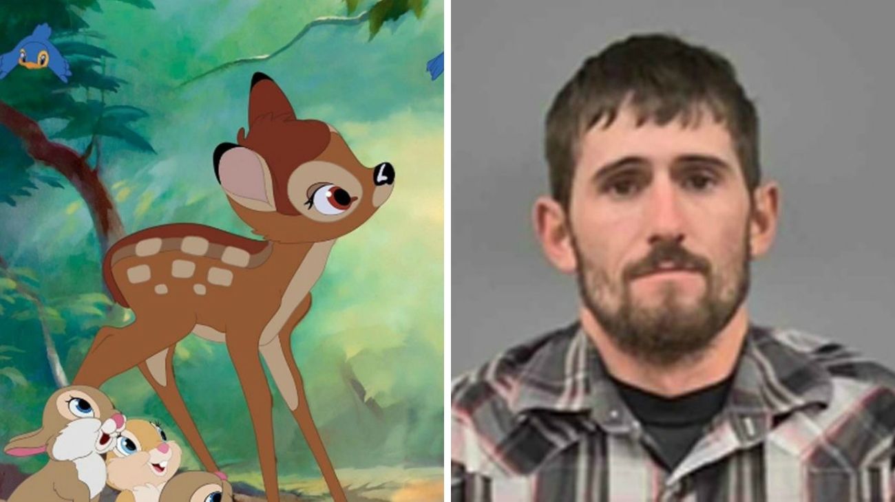 Sentenciaron a un cazador furtivo estadounidense a ver la película "Bambi"