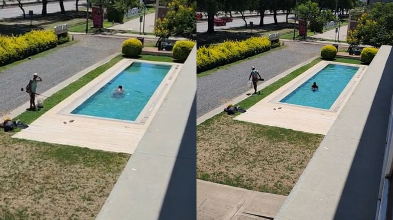 Video: pasaron por una pileta, aprovecharon a meterse y el dueño los filmó